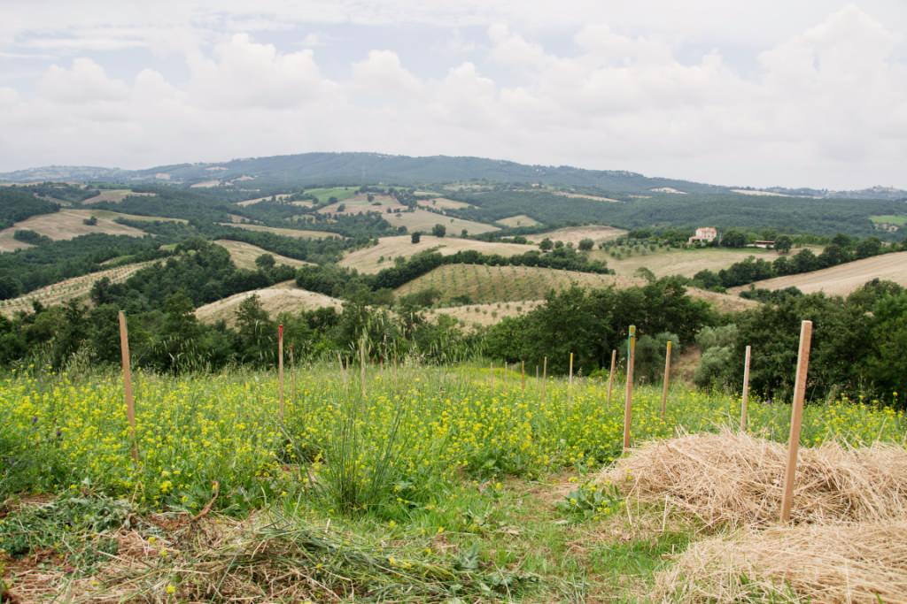 Piano di Indirizzo Territoriale della regione Toscana